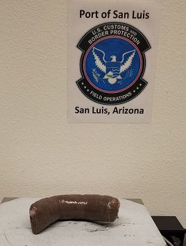 Border busts 2019